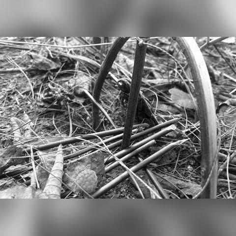 黎明电影追捕深度解析